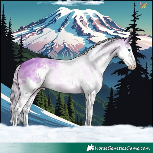 Horse Color:Watercolor White Spotted Chestnut Splash Tobiano 