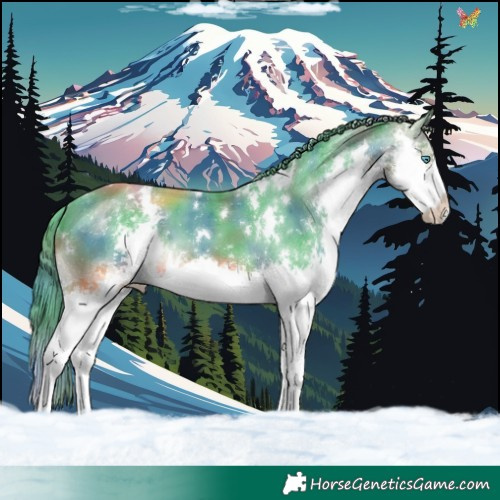 Horse Color:Nacre Watercolor White Spotted Black Splash 