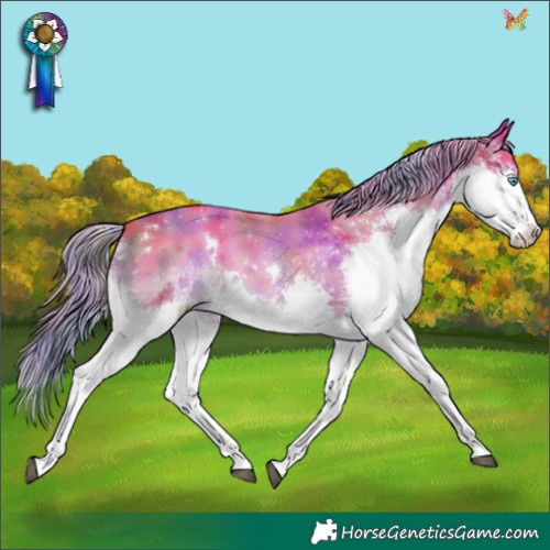 Horse Color:Nacre Watercolor White Spotted Liver Chestnut Splash 