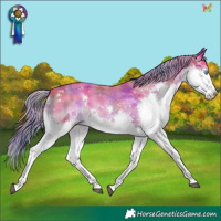 Horse Color:Nacre Watercolor White Spotted Liver Chestnut Splash 