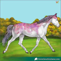 Horse Color:Nacre Watercolor White Spotted Liver Chestnut Splash 