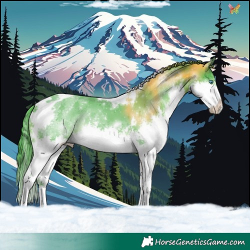 Horse Color:Watercolor Black Splash Tobiano 