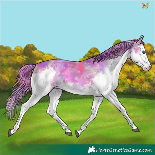 Horse Color:Nacre Watercolor Chestnut Splash Tobiano 