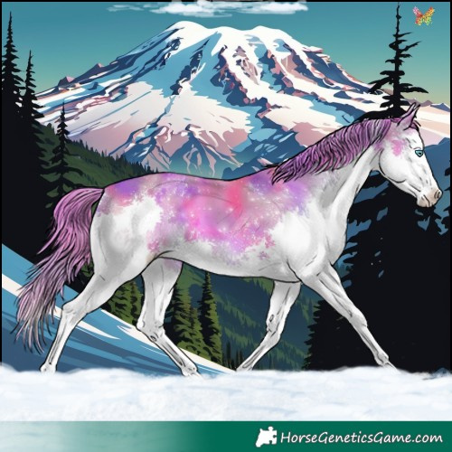 Horse Color:Nacre Watercolor Chestnut Splash Tobiano 