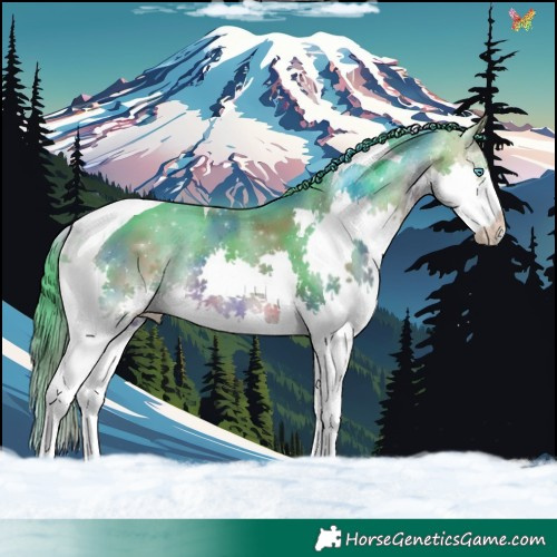 Horse Color:Nacre Watercolor Bay Splash Tobiano 