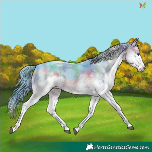 Horse Color:Nacre Watercolor Brown Splash Tobiano 