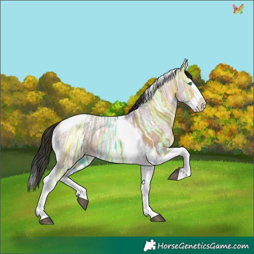 Horse Color:Brown Ice Dun Splash Tobiano 