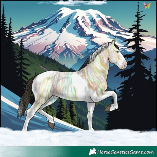Horse Color:Brown Ice Dun Splash Tobiano 