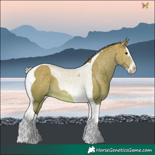 Horse Color:Silver Brown Dun Splash Tobiano 