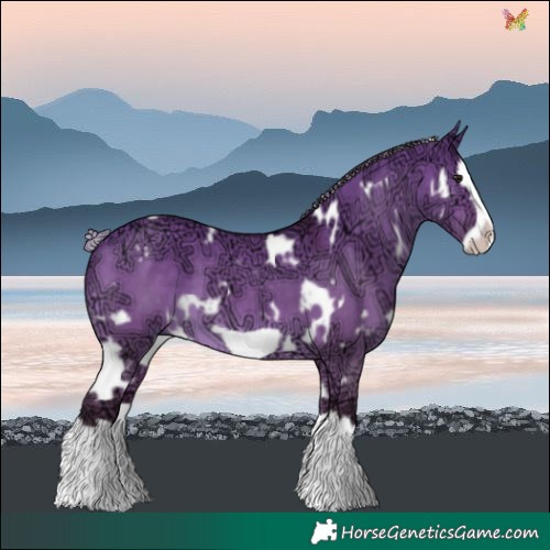 Horse Color:White Spotted Silver Brown Ice Dun Splash Frame 