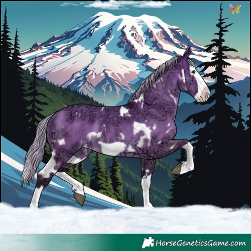 Horse Color:White Spotted Silver Brown Ice Dun Splash Frame 