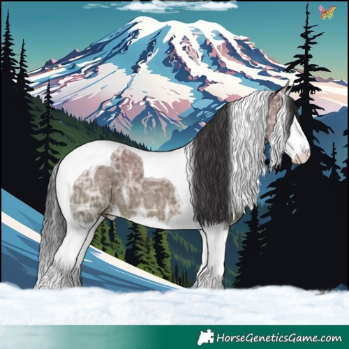 Horse Color:Grullo Ice Splash Tobiano 