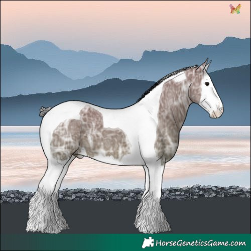 Horse Color:Grullo Ice Splash Tobiano 