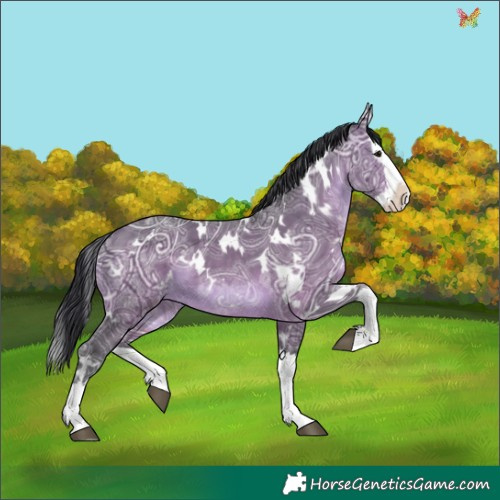 Horse Color:White Spotted Brown Ice Dun Splash 