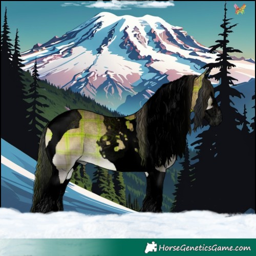 Horse Color:Void Plaid  Brown Onyx Splash Tobiano 