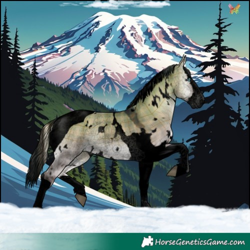 Horse Color:Void Plaid  White Spotted Brown Onyx Splash Tobiano 