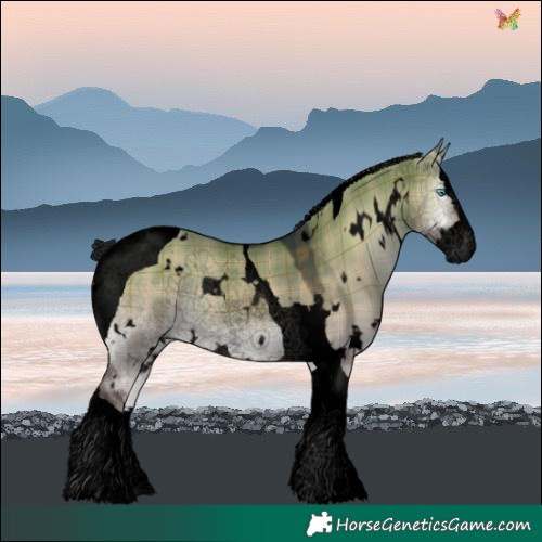 Horse Color:Void Plaid  White Spotted Brown Onyx Splash Tobiano 