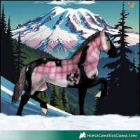 Horse Color:Void Plaid  Brown Onyx Splash Tobiano 