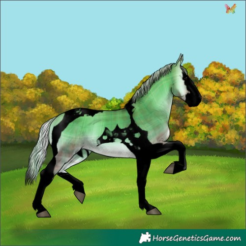 Horse Color:Void Plaid  Silver Brown Onyx Splash Tobiano 