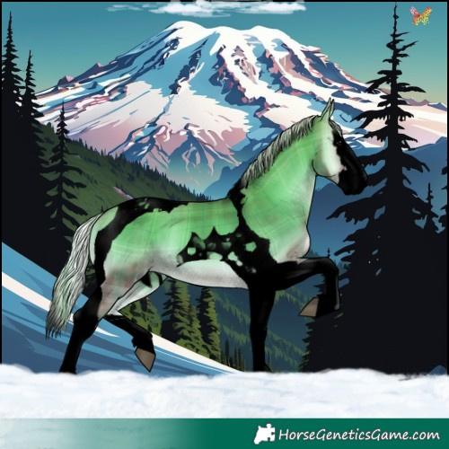 Horse Color:Void Plaid  Silver Brown Onyx Splash Tobiano 