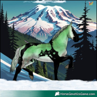 Horse Color:Void Plaid  Silver Brown Onyx Splash Tobiano 