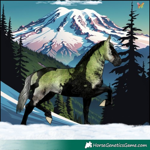 Horse Color:Void Plaid  White Spotted Silver Brown Onyx Splash Tobiano 