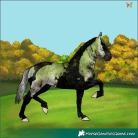 Horse Color:Void Plaid  White Spotted Silver Brown Onyx Splash Tobiano 