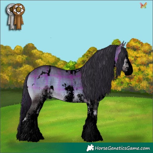 Horse Color:Void Plaid  White Spotted Brown Onyx Splash 