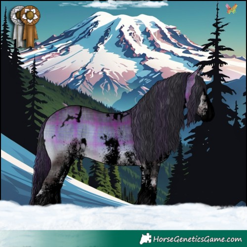 Horse Color:Void Plaid  White Spotted Brown Onyx Splash 