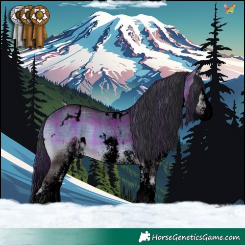 Horse Color:Void Plaid  White Spotted Brown Onyx Splash 