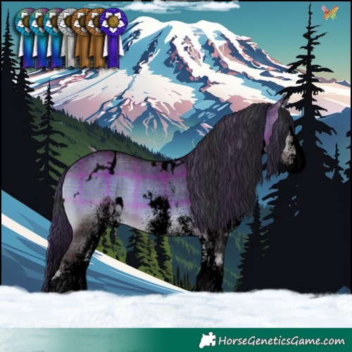 Horse Color:Void Plaid  White Spotted Brown Onyx Splash 