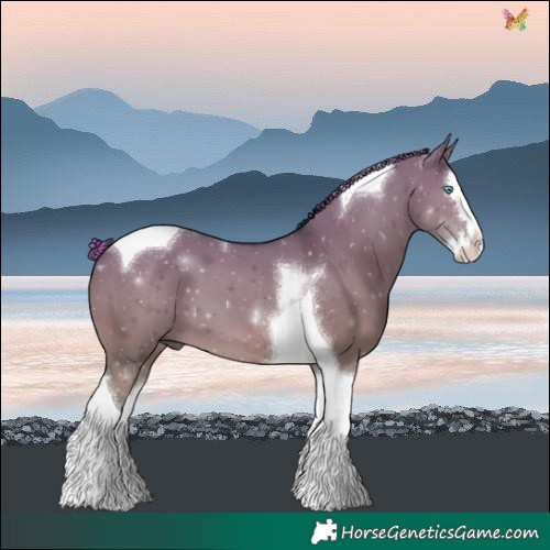 Horse Color:Painted Grullo Splash Tobiano 