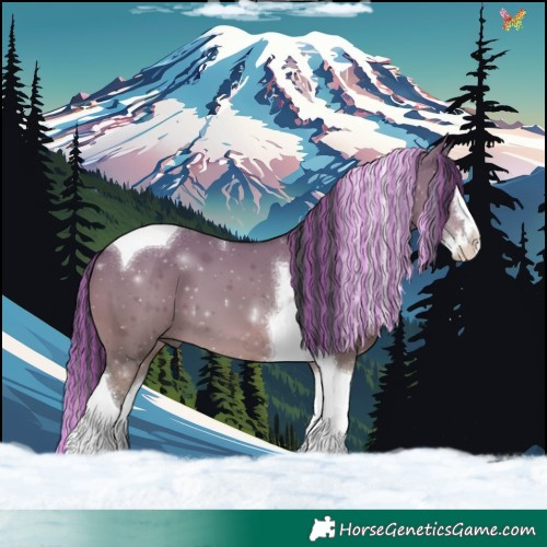 Horse Color:Painted Grullo Splash Tobiano 
