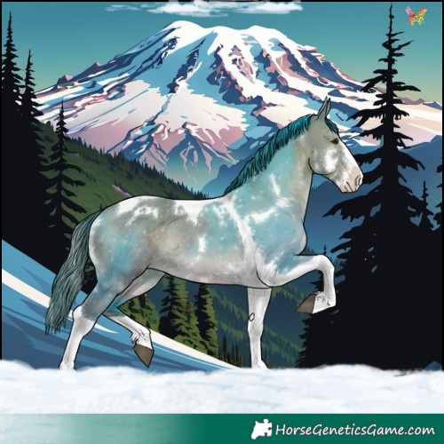 Horse Color:Watercolor White Spotted Brown Dun Splash Tobiano 