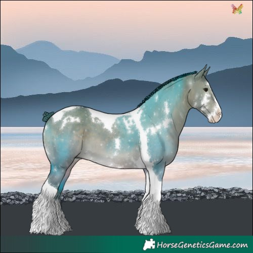 Horse Color:Watercolor White Spotted Brown Dun Splash Tobiano 