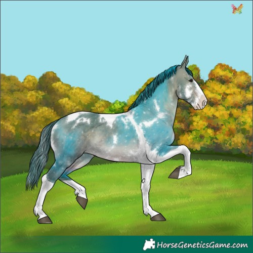 Horse Color:Watercolor White Spotted Brown Dun Splash Tobiano 