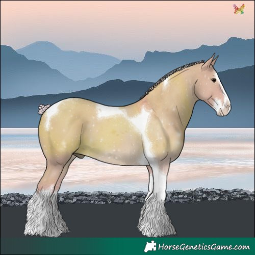 Horse Color:Watercolor White Spotted Silver Grullo Splash Tobiano 