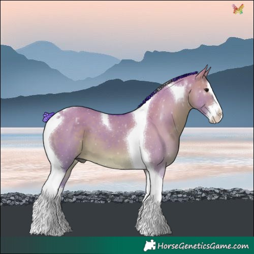 Horse Color:Watercolor White Spotted Brown Dun Splash Tobiano 