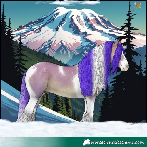 Horse Color:Watercolor White Spotted Brown Dun Splash Tobiano 