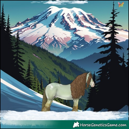 Horse Color:White Spotted Gold Champagne Dun 