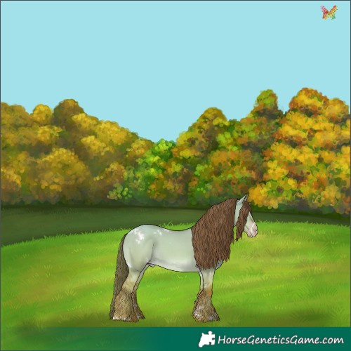 Horse Color:White Spotted Gold Champagne Dun 
