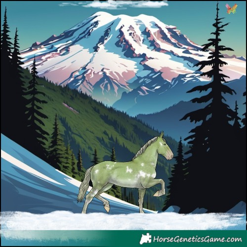 Horse Color:White Spotted Gold Cream Champagne Dun 