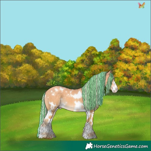 Horse Color:Painted White Spotted Gold Cream Champagne Dun Splash Tobiano 