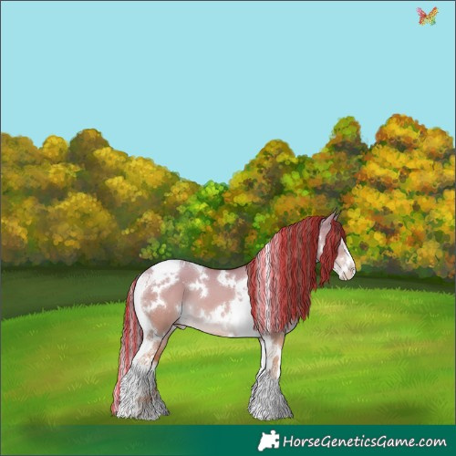Horse Color:Painted White Spotted Gold Champagne Dun Splash Tobiano 