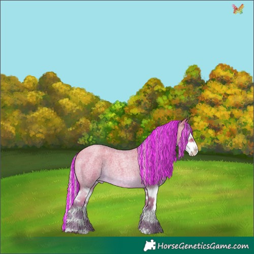 Horse Color:Painted Silver Sable Champagne Roan Splash 