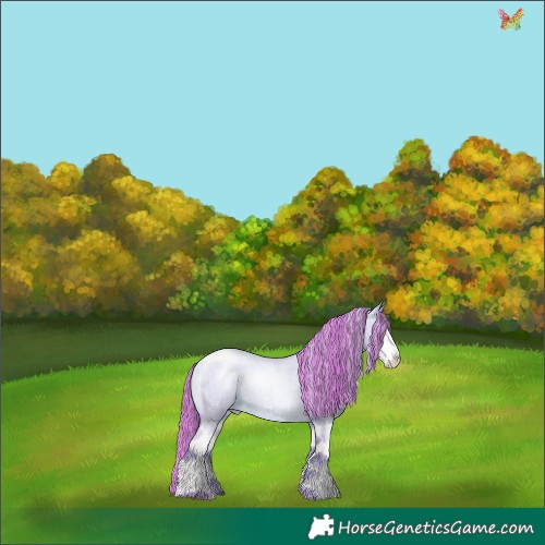 Horse Color:Painted Silver Sable Cream Champagne Roan Pearl Dun Splash 
