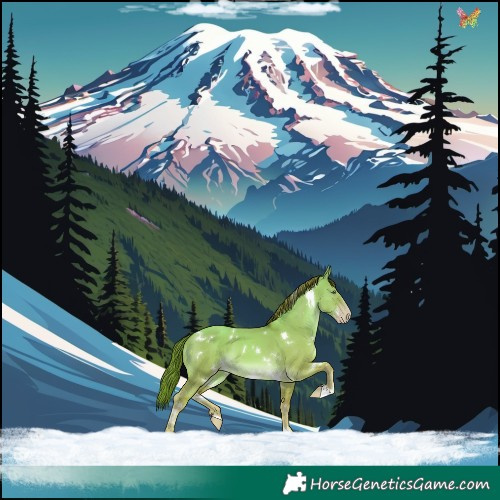 Horse Color:White Spotted Gold Champagne Dun 