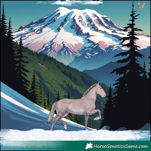 Horse Color:Silver Classic Cream Champagne Dun 