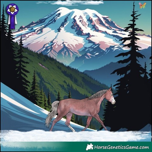 Horse Color:Silver Amber Cream Champagne Sabino 