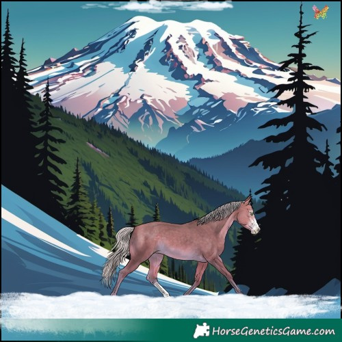 Horse Color:Silver Amber Cream Champagne Sabino 